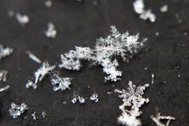 Snowflakes