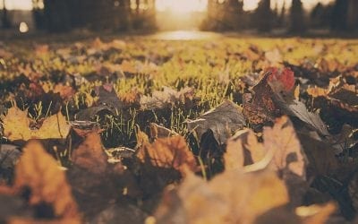 4 Tips to Get Your Home Ready for Fall