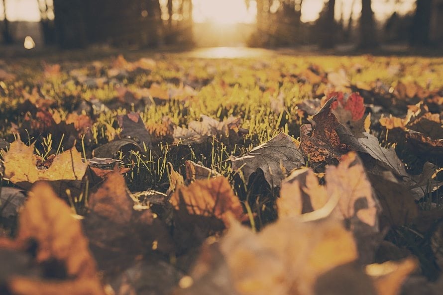 4 Tips to Get Your Home Ready for Fall