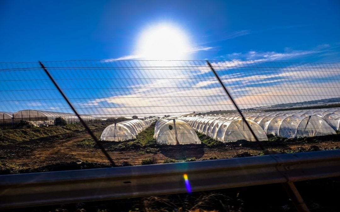 A row of greenhouses sitting below a bright, hot sun.